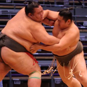 sumo wrestling tokyo