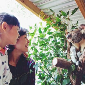 wild life sydney zoo