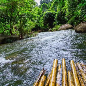 Chiang Dao Private Tour