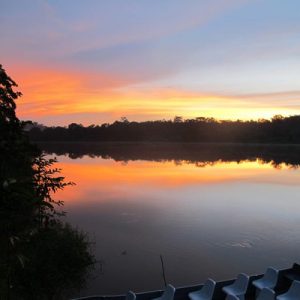 Boat cruise down Sukau-Kinabatangan river