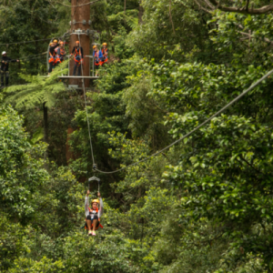 illawarra fly zipline tickets