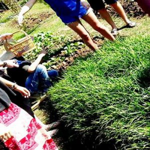 Authentic Thai Cooking Class