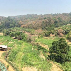 Where to zipline in Chiang Mai