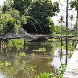 bangkok biking tours