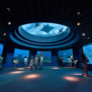 SEA dome Singapore