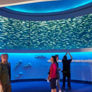 monterey bay aquarium ticket