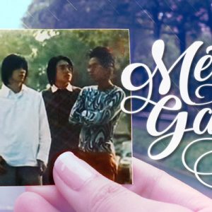meteor garden sightseeing tour