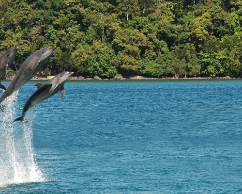 Sale Ocean Adventure Admission Ticket In Subic Bay Sale 50 Ticket Kd