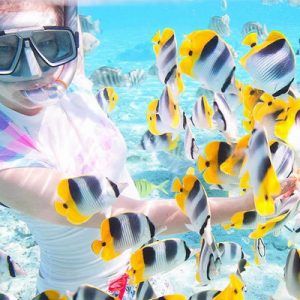 Idyllic Snorkeling Getaway
