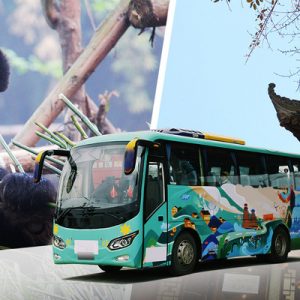 shared shuttle bus transfers chengdu chengdu giant panda base