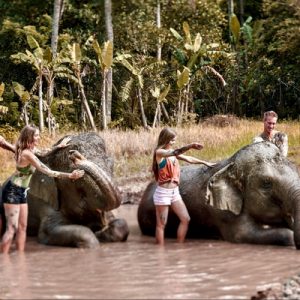 group of people playing with elephants