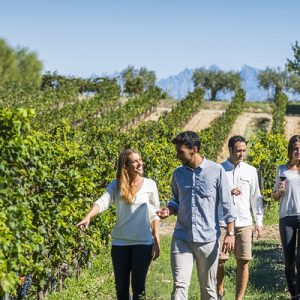 Guided Day Tour Torres Wine Cellars Montserrat and Sitges barcelona