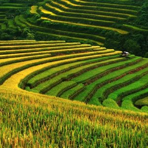 sapa trekking tour