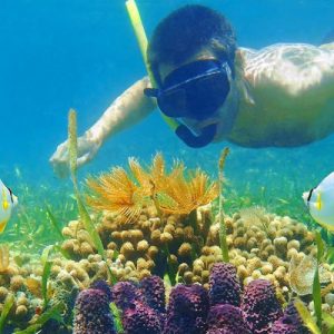 Nago City Snorkeling