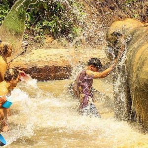elephant sanctuary in pattaya