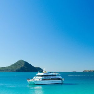 cruise fleet on Port Stephens