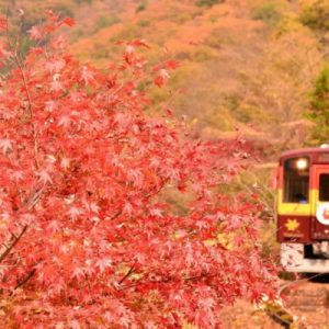 takatsudokyo day tour