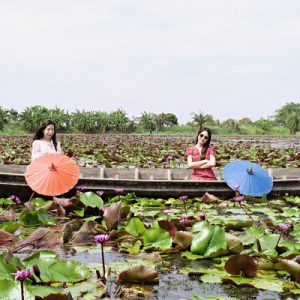 red lotus pond