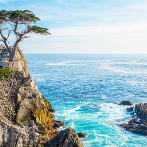 carmel monterey day tour from san francisco