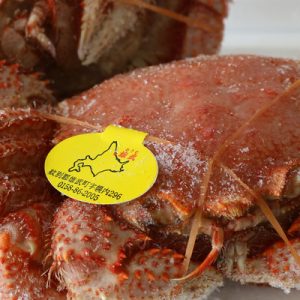 Klook Exclusive: Hokkaido Horsehair Crab Souvenir (New Chitose Airport/JR Chitose Station Pick Up) in Hokkaido, Japan