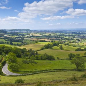 cotswolds