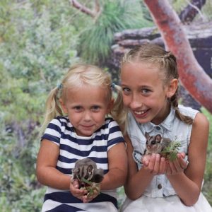 featherdale wildlife park ticket sydney