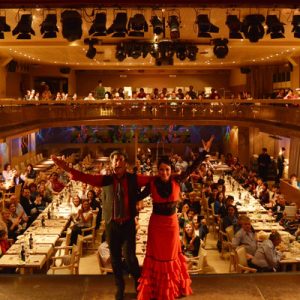 flamenco show ticket palacio del flamenco barcelona
