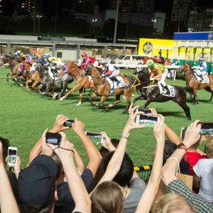 wednesday horse races crawl