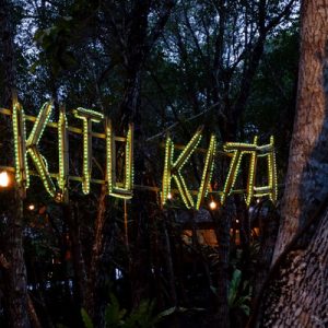 firefly watching palawan