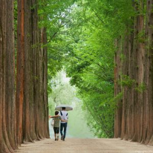 Nami Island summer season