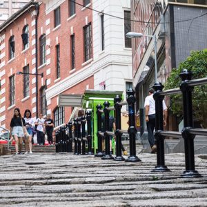 Central and Victoria Peak Cultural Tour