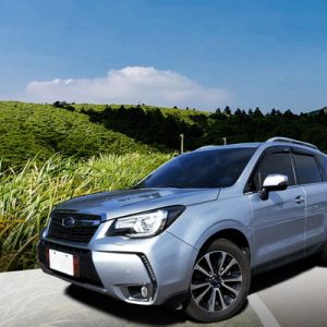 yangmingshan private car charter
