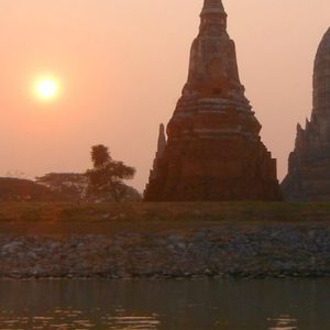 ayutthaya buddha head