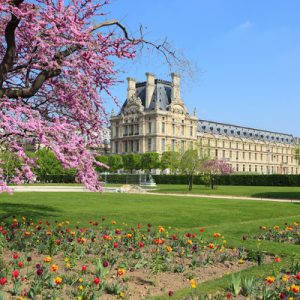 louvre museum