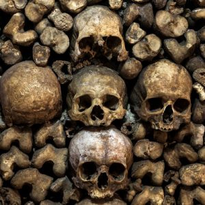 skulls on the walls of Paris' Catacombs