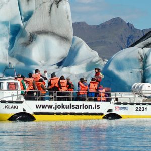 Jokulsarlon Glacial Lagoon Day Trip