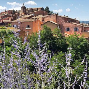 avignon tour from marseille