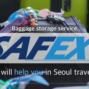 safex luggage storage services