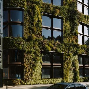 exteriors of the Musée du quai Branly – Jacques Chirac; the windows are surrounded by greens