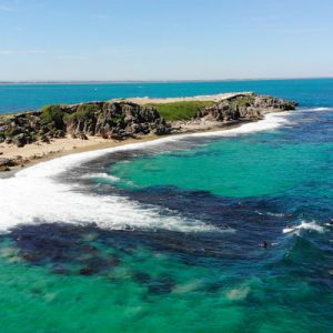 penguin island