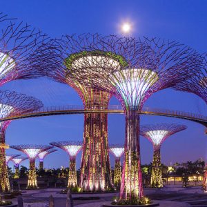 Gardens by the Bay: OCBC Skyway