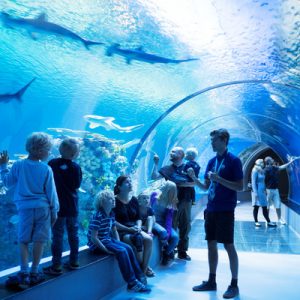 visitors in national aquarium denmark