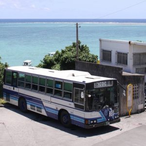 Okinawa bus pass