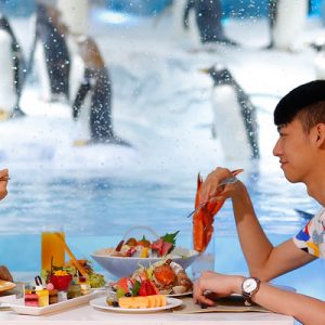 Zhuhai Chimelong Penguin Hotel Buffet