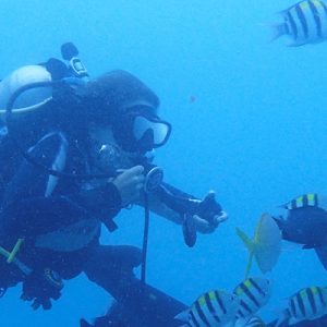Scuba Diving in Northeast Bitou Cape