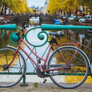 guided countryside bike tour
