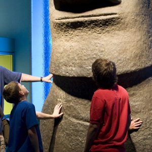 American Museum of Natural History tickets
