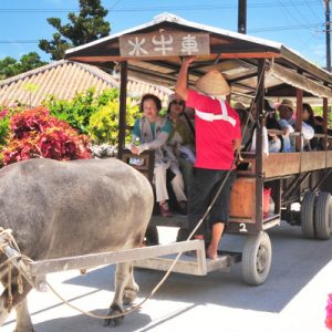 taketomi island tour