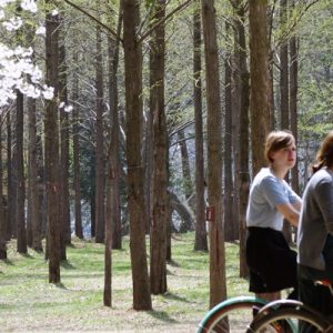 Nami island