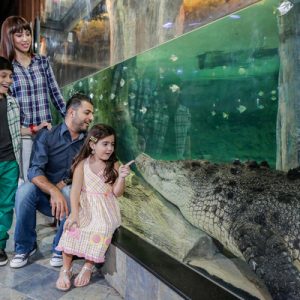 dubai underwater zoo